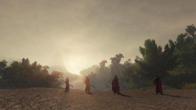 新手养鱼，鱼缸中能放入哪些水草？